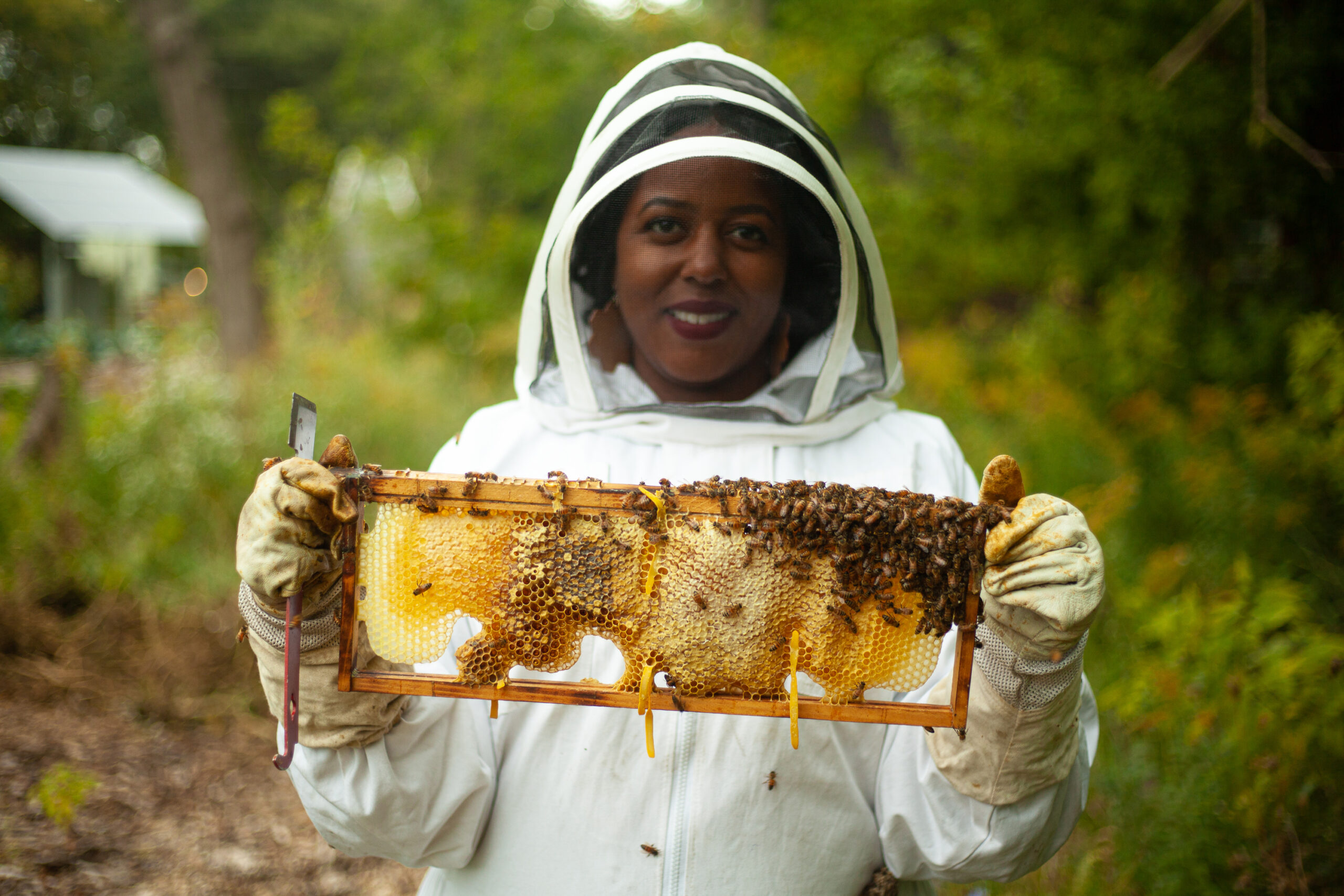 Seed Award Spotlight: Detroit Hives - Michigan Good Food Fund