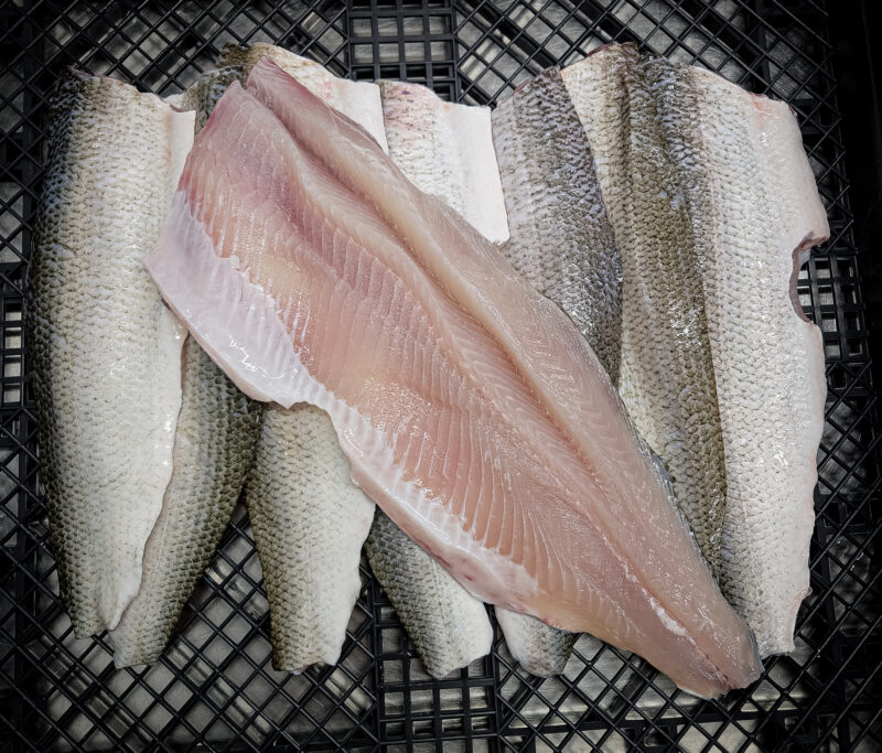 Fresh fish from Fraizier’s Fish House in Epoufette, Michigan